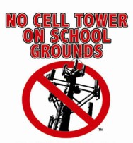 DeKalb Zoning Code Update on Cell Towers on School Grounds on June 18th